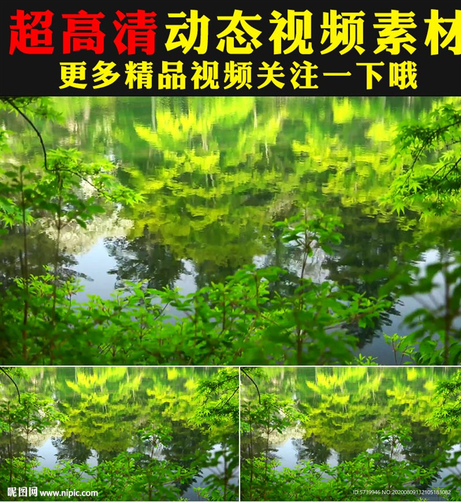 小清新绿色叶子河水倒影视频素材