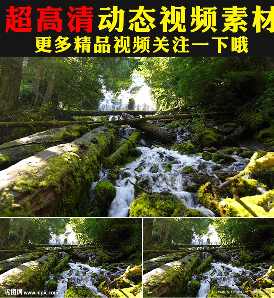 绿色小溪流水河流大自然视频