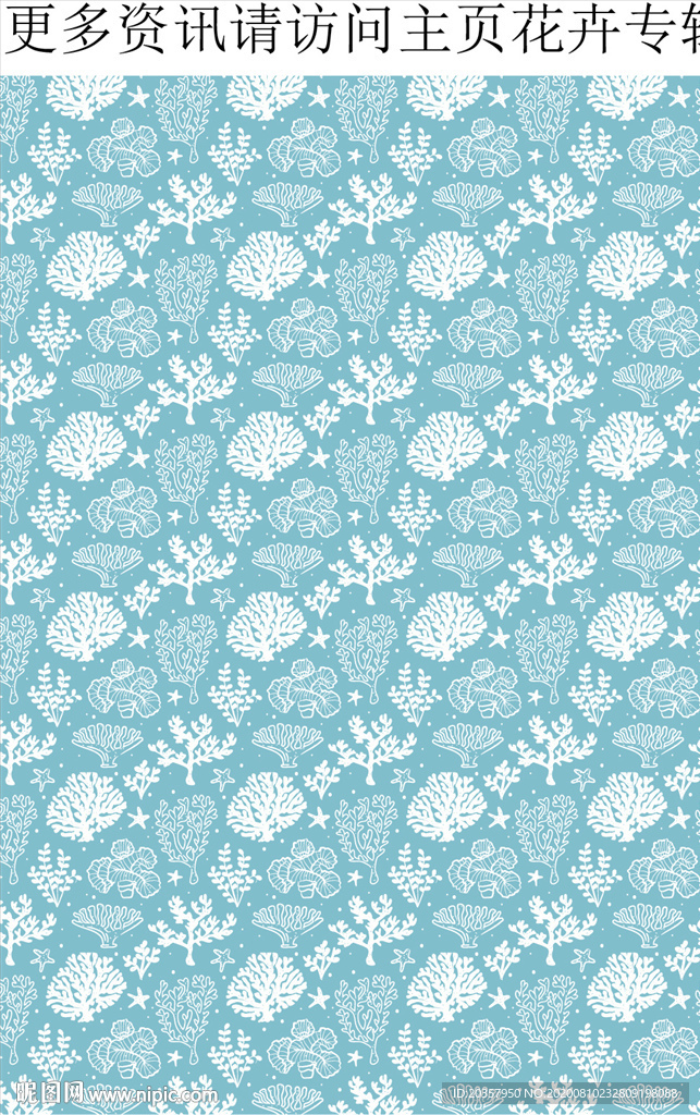 海藻  珊瑚 海洋植物