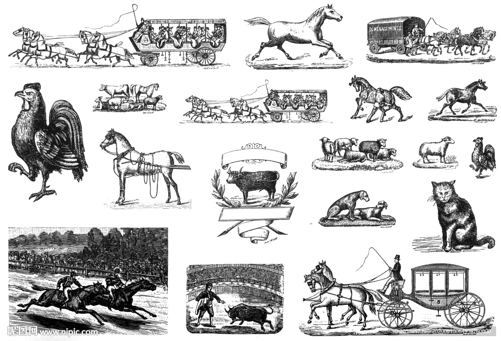 马赛马葡萄酒纹饰