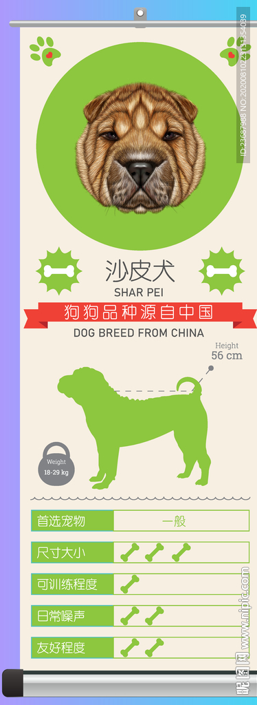 沙皮狗简介
