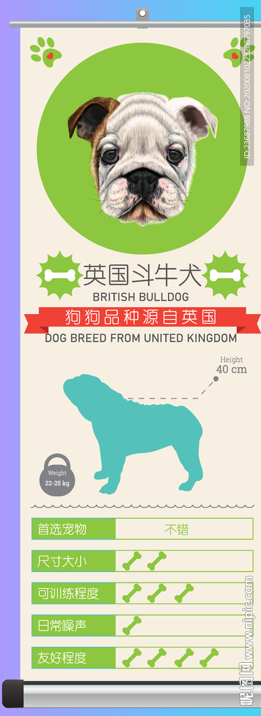 英国斗牛犬简介