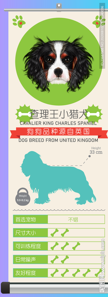 查理王小猎犬简介