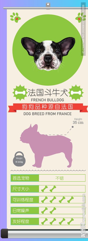 法国斗牛犬简介