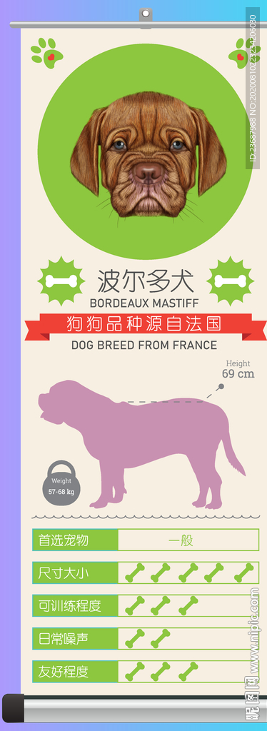 波尔多犬简介