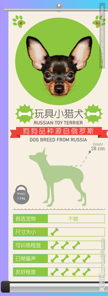玩具小猎犬