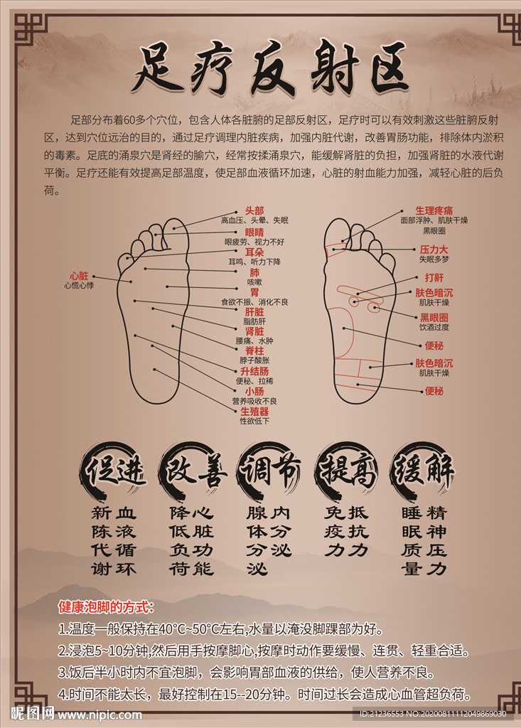 足疗穴位反射区展板