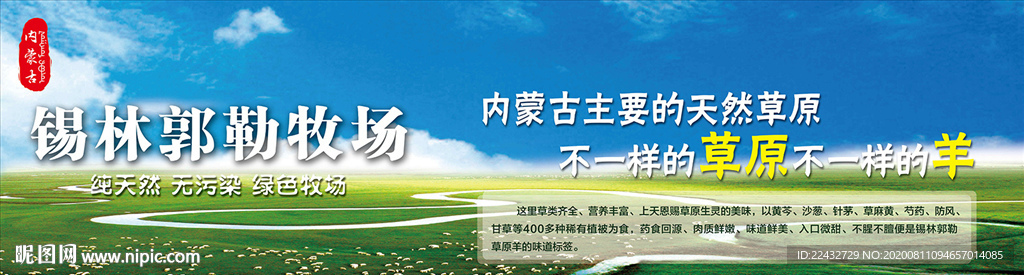 锡林郭勒草原羊