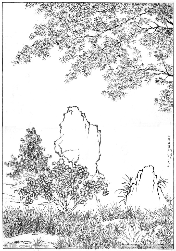 景观树林