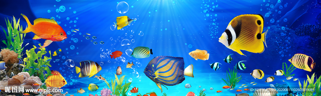 海底世界