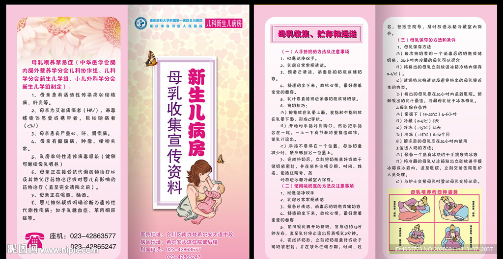 新生儿母乳收集喂养对折页