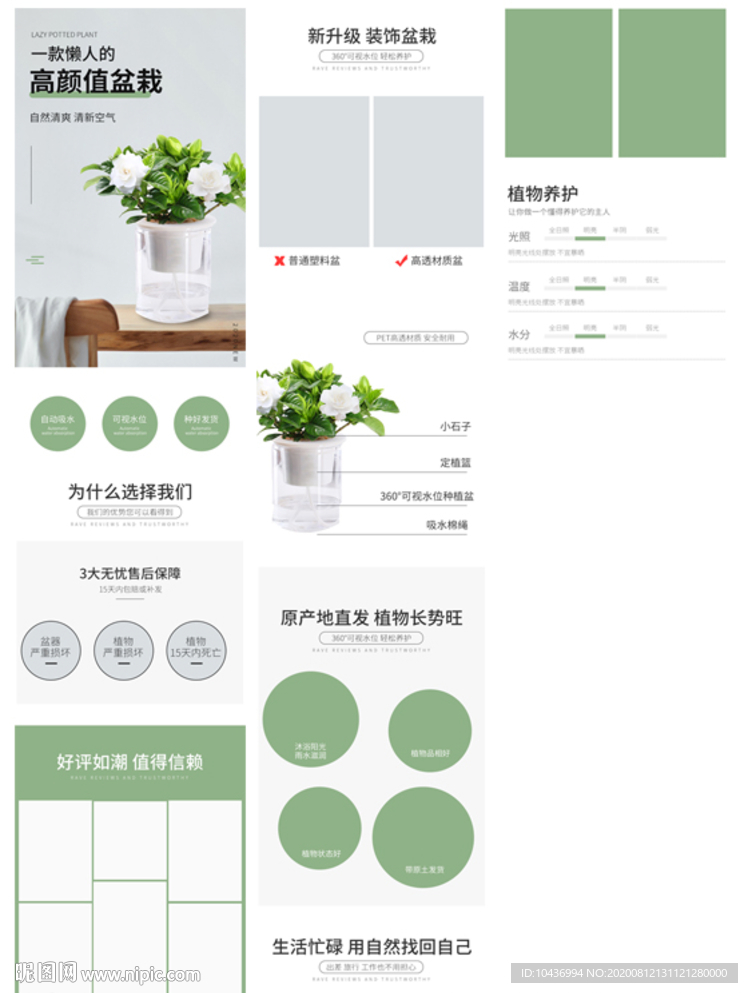 盆栽详情页图片