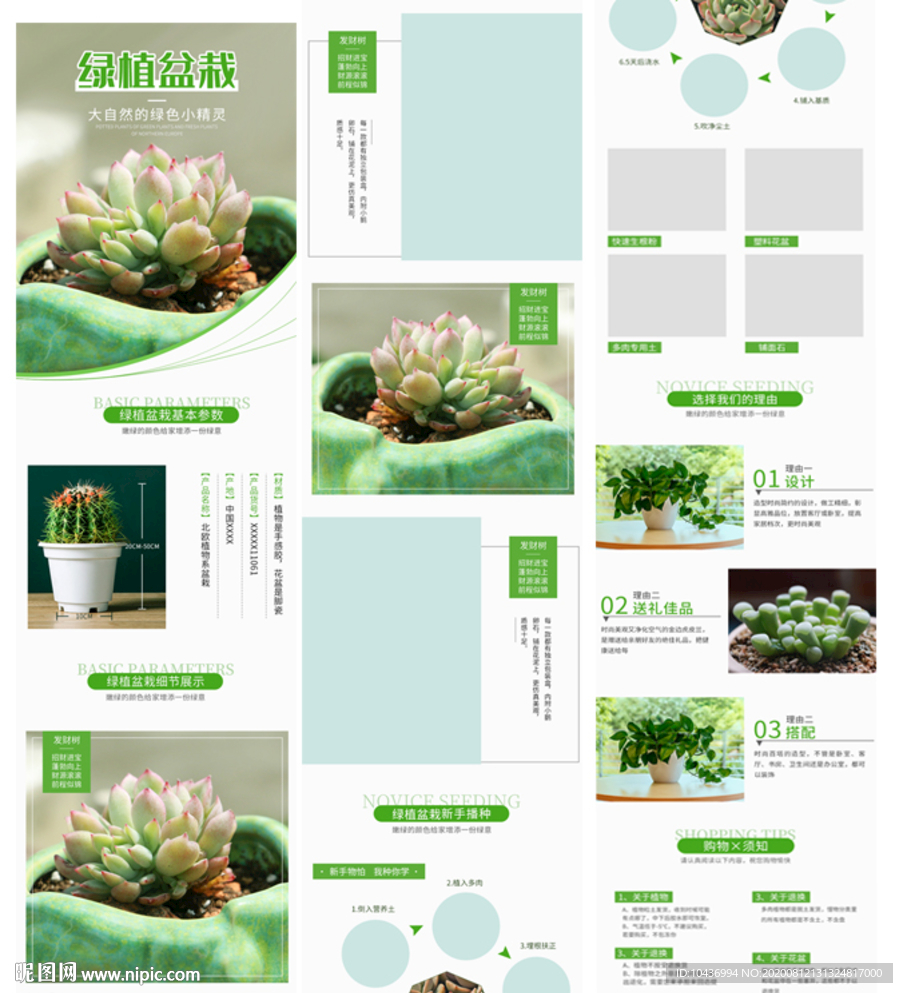 多肉详情页图片
