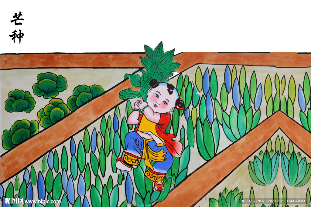 芒种