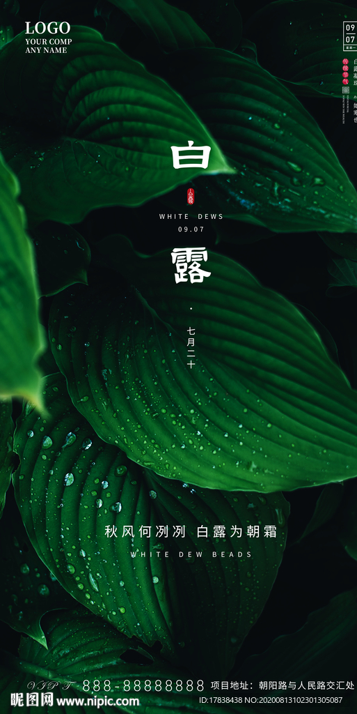 白露节气