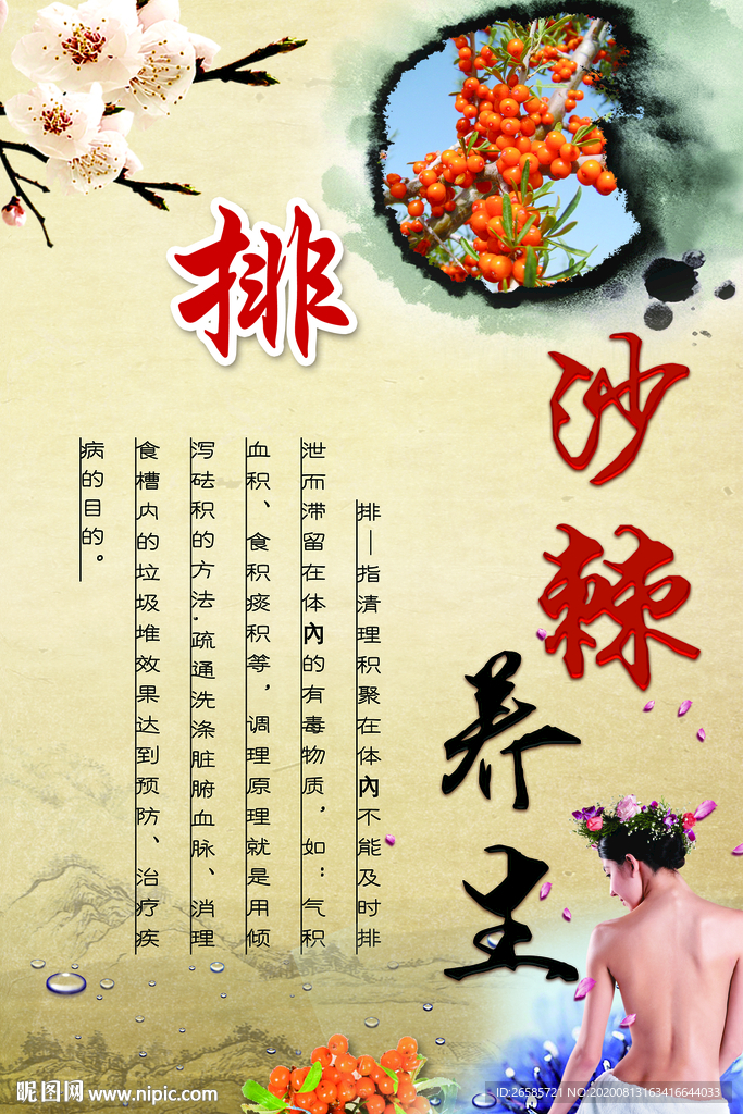 沙棘养身