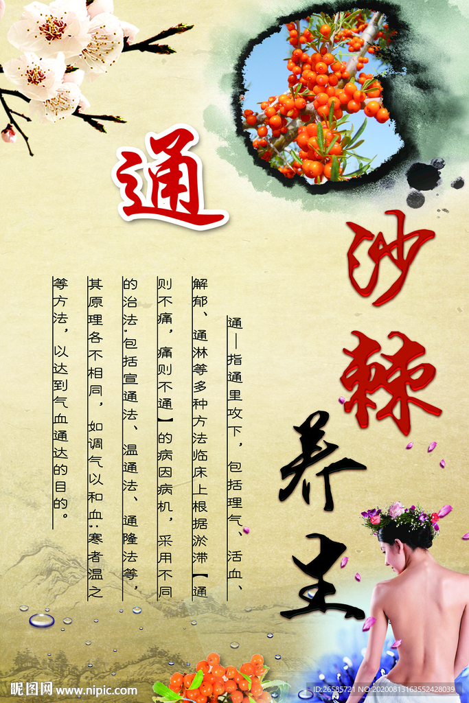 沙棘养身