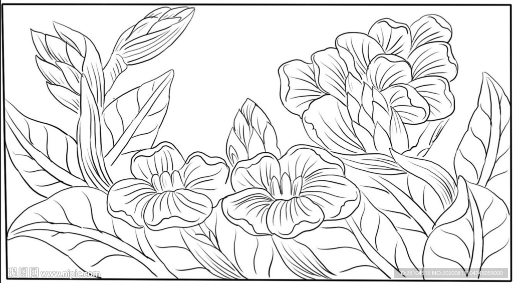 绘画草本植物