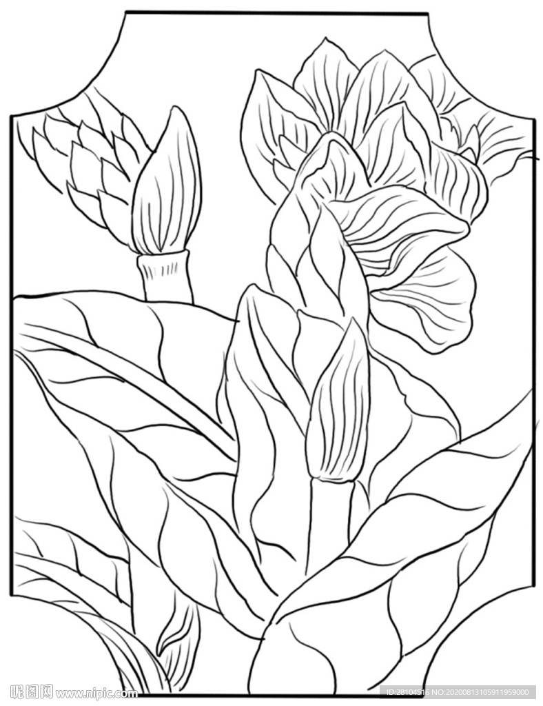 白描花草
