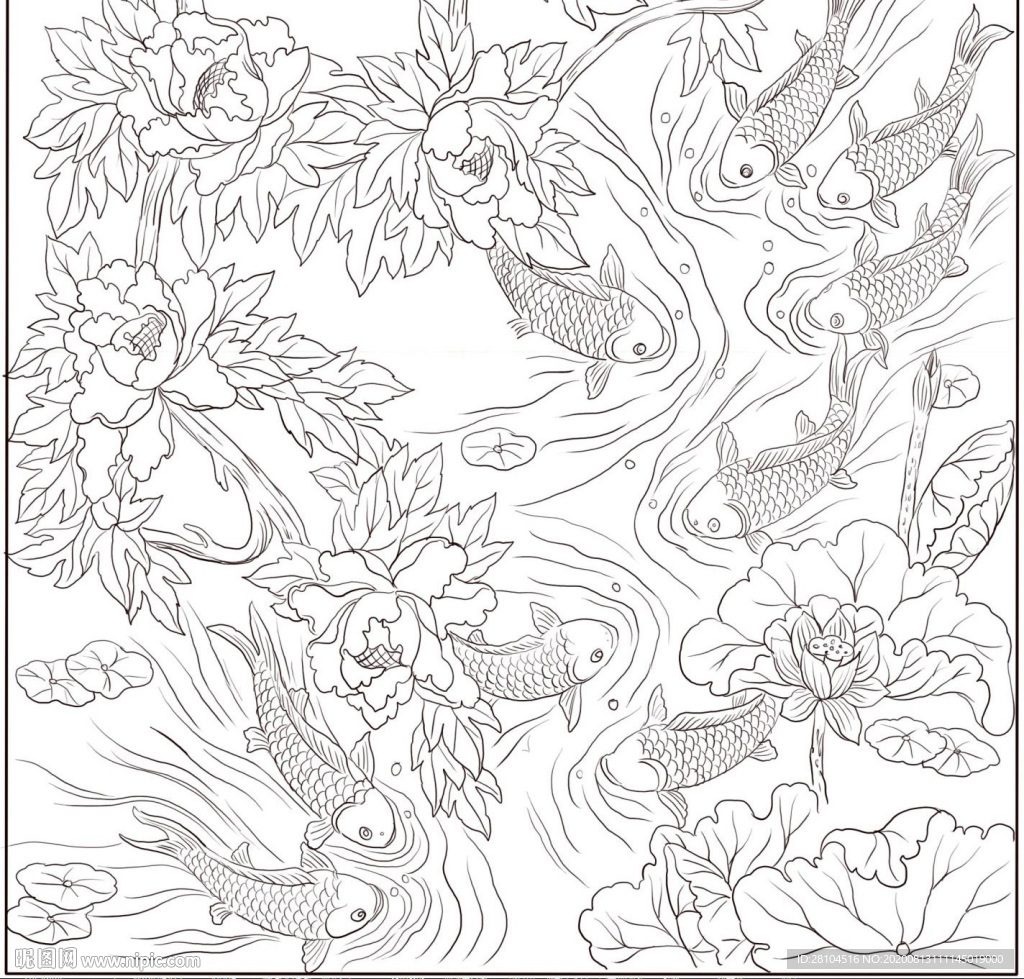 白描荷花鲤鱼