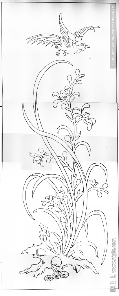 兰花