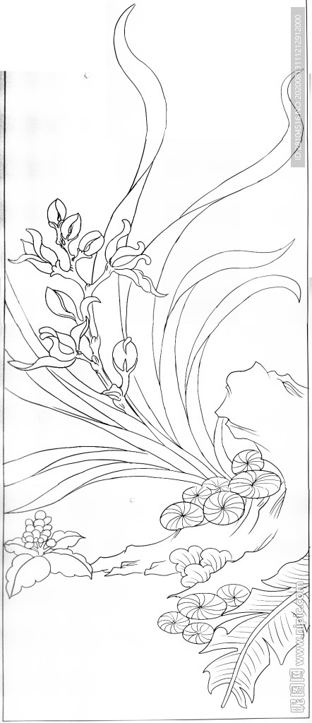 花卉