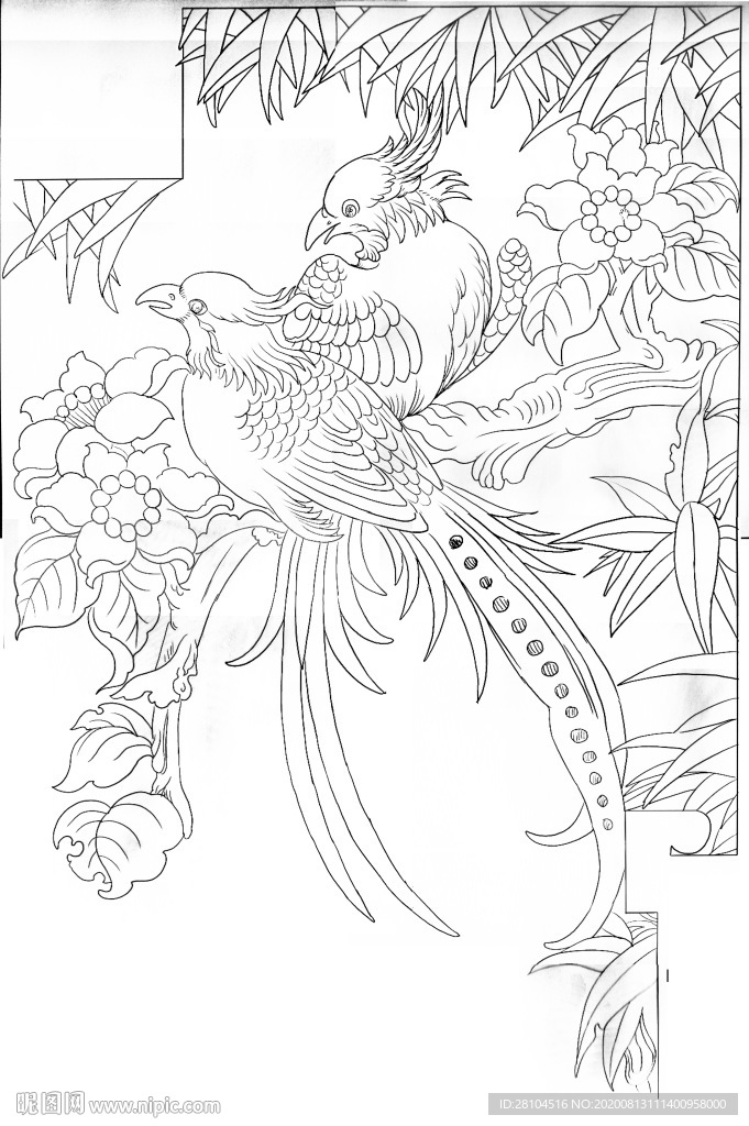 花鸟图