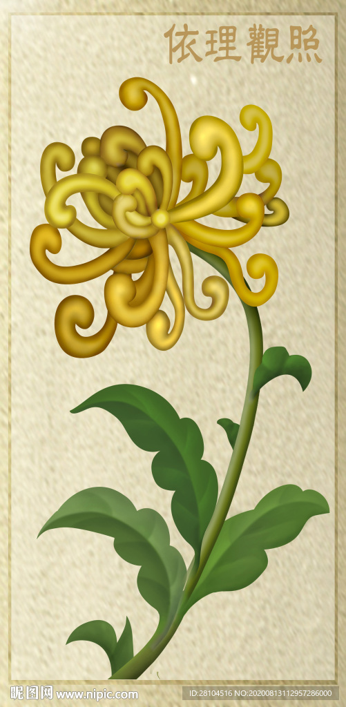 菊花电脑绘图