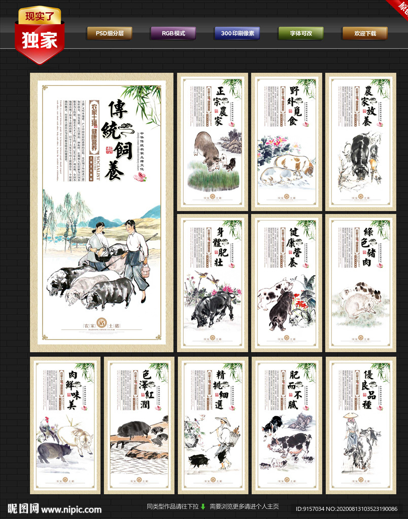 土猪 农家土猪 土猪文化