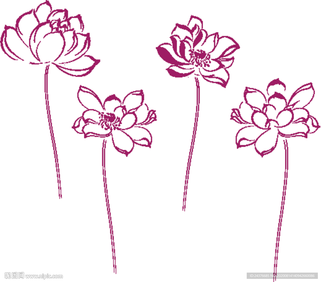 莲花
