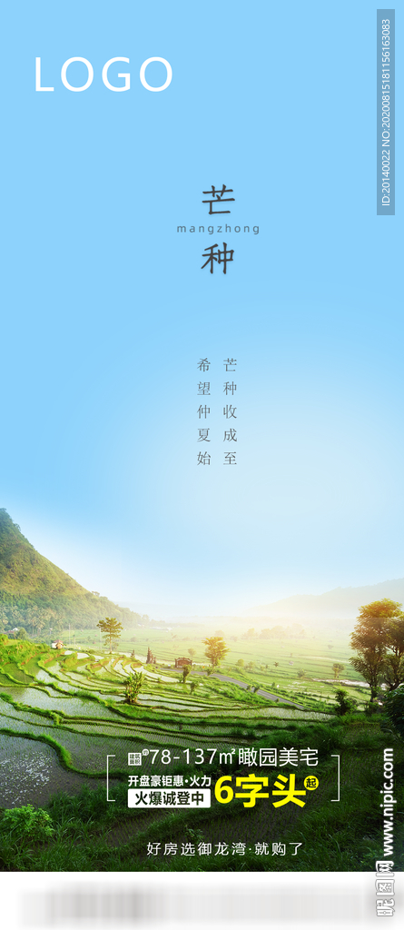 芒种