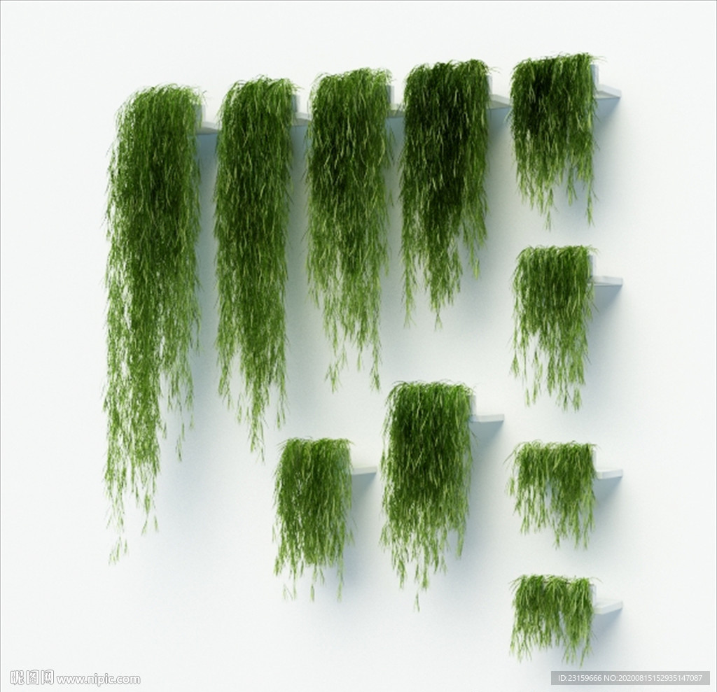 墙上的装饰绿色植物