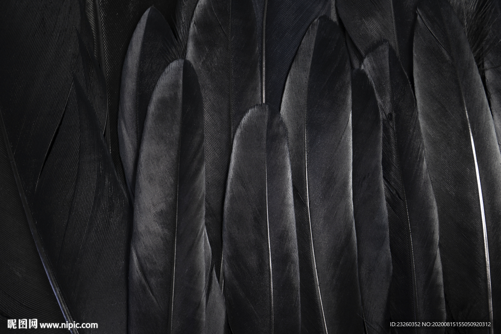 超清黑色羽毛炫酷质感无水印图片