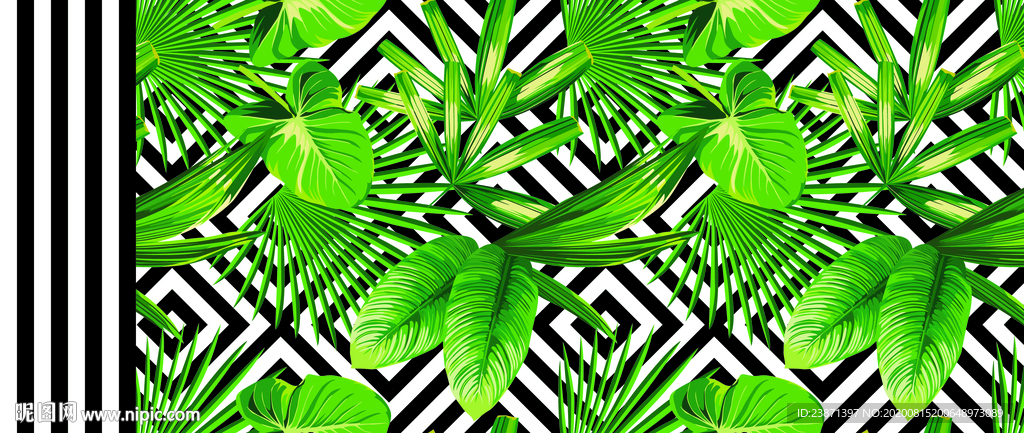 热带植物