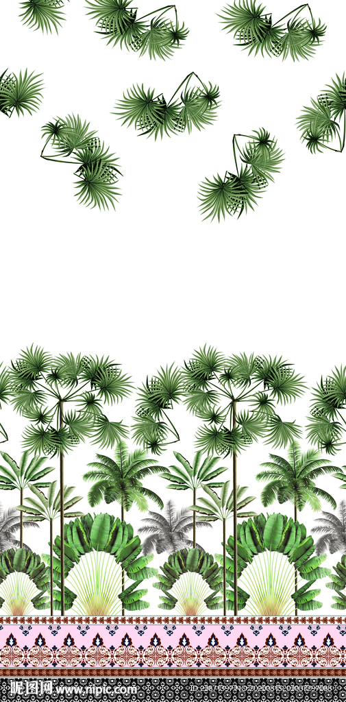 大牌热带植物