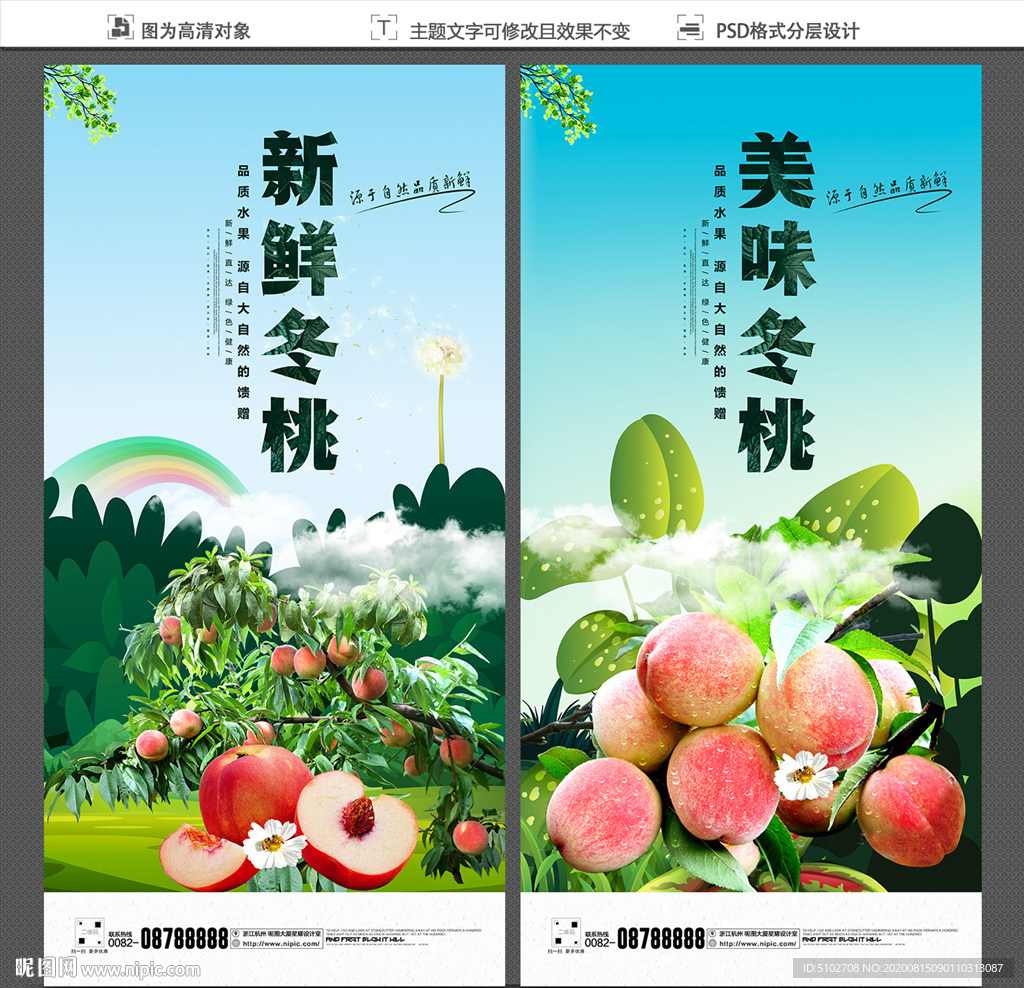 冬桃