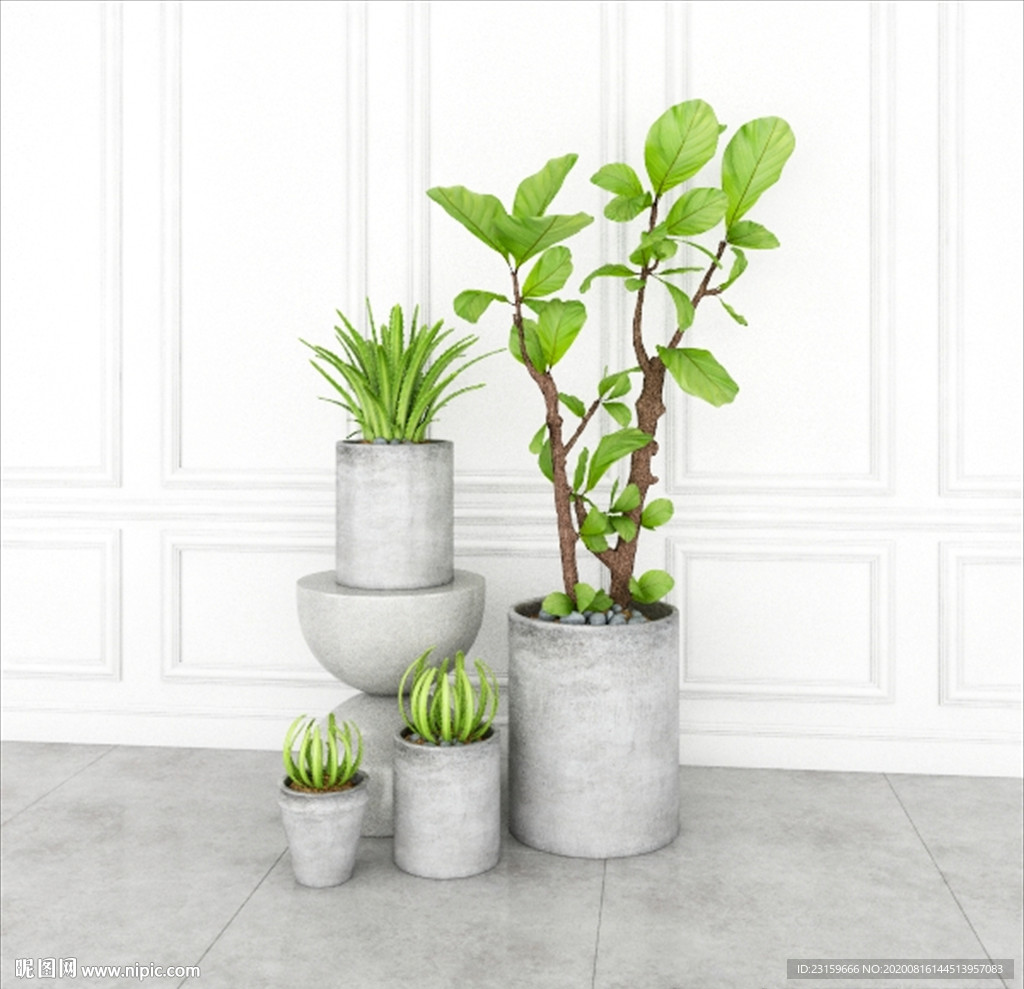 一组观赏绿色植物