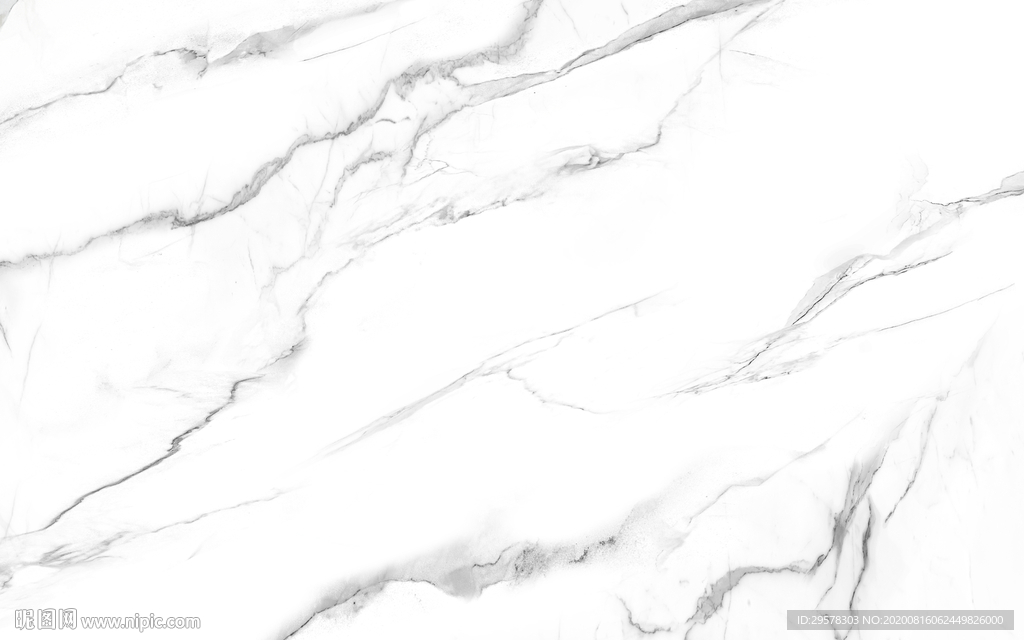 大板高档新鱼肚白 TIF合层