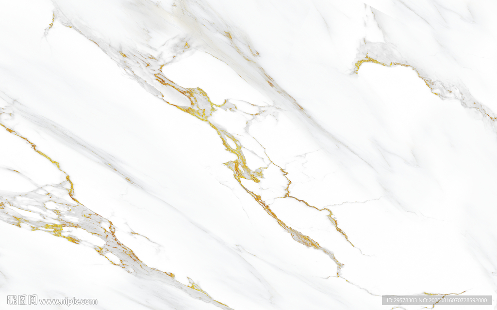 新中式高档新鱼肚白 TIF合层