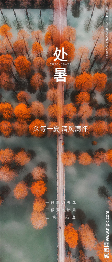 处暑节气海报