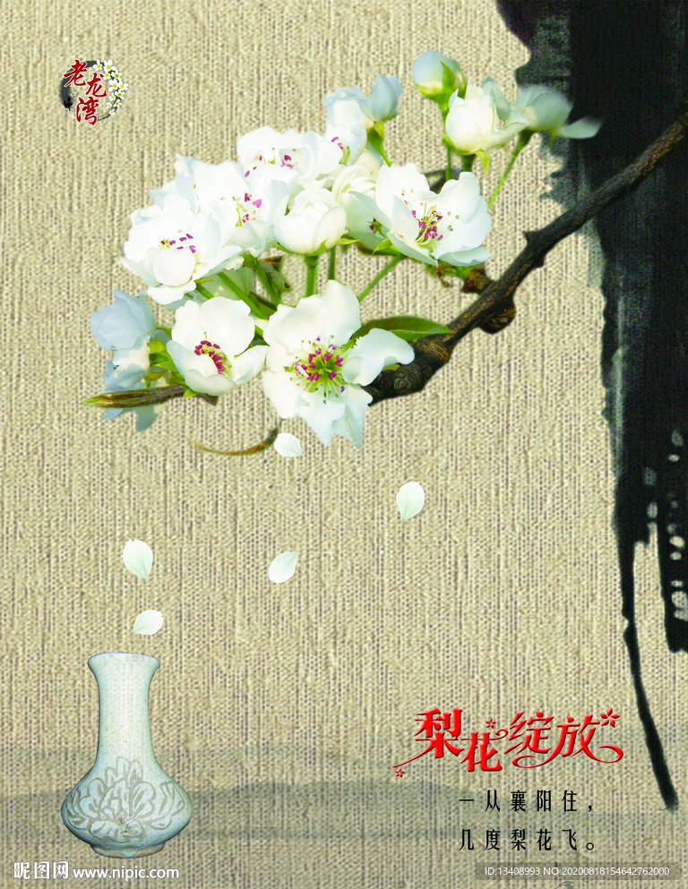 梨花展板