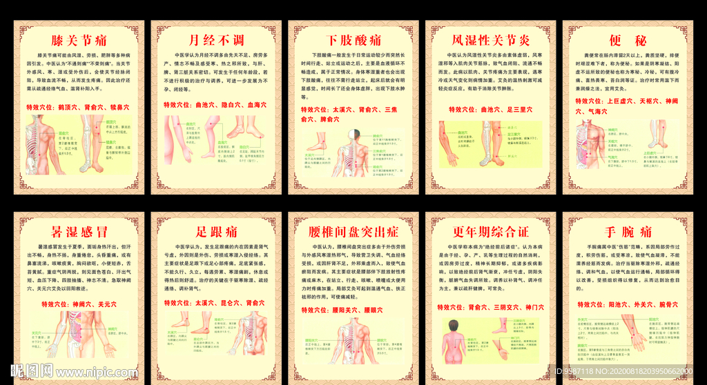 艾灸海报 艾灸展板 艾灸养生图