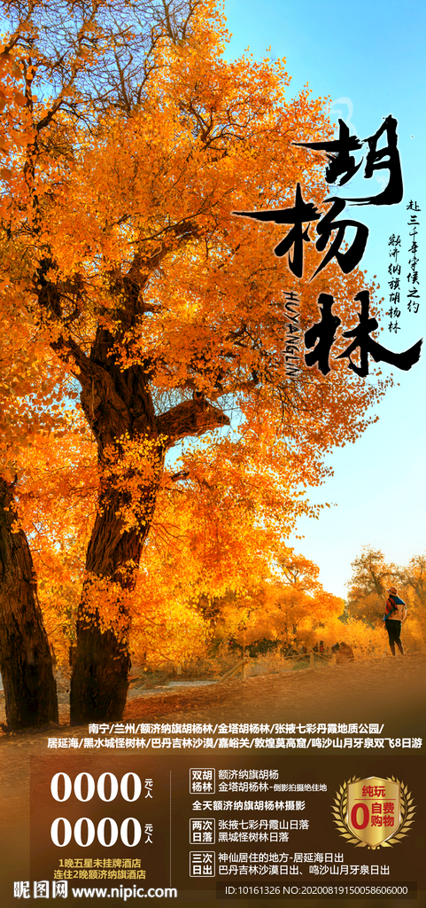 胡杨林