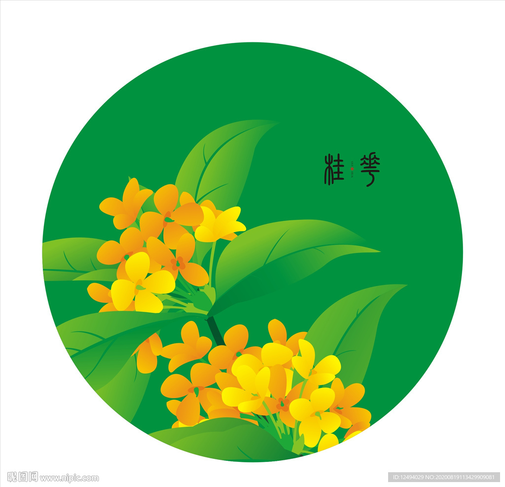 桂花