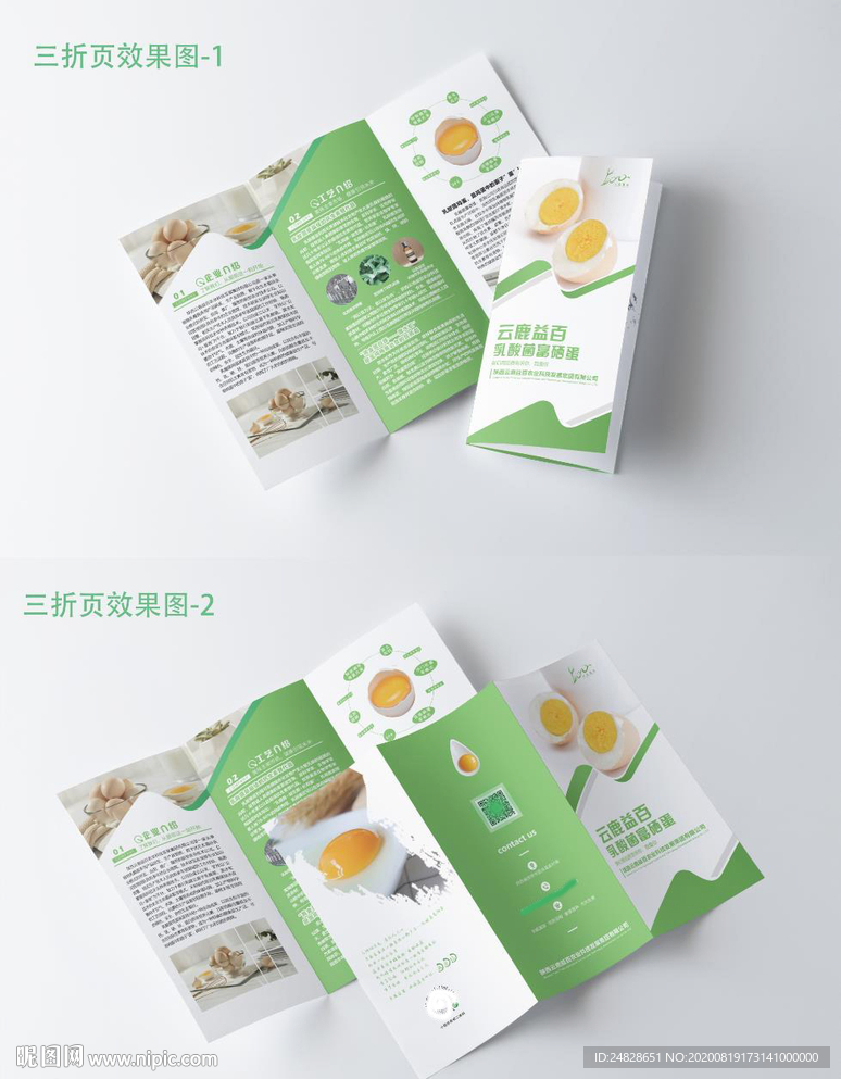 鸡蛋三折页