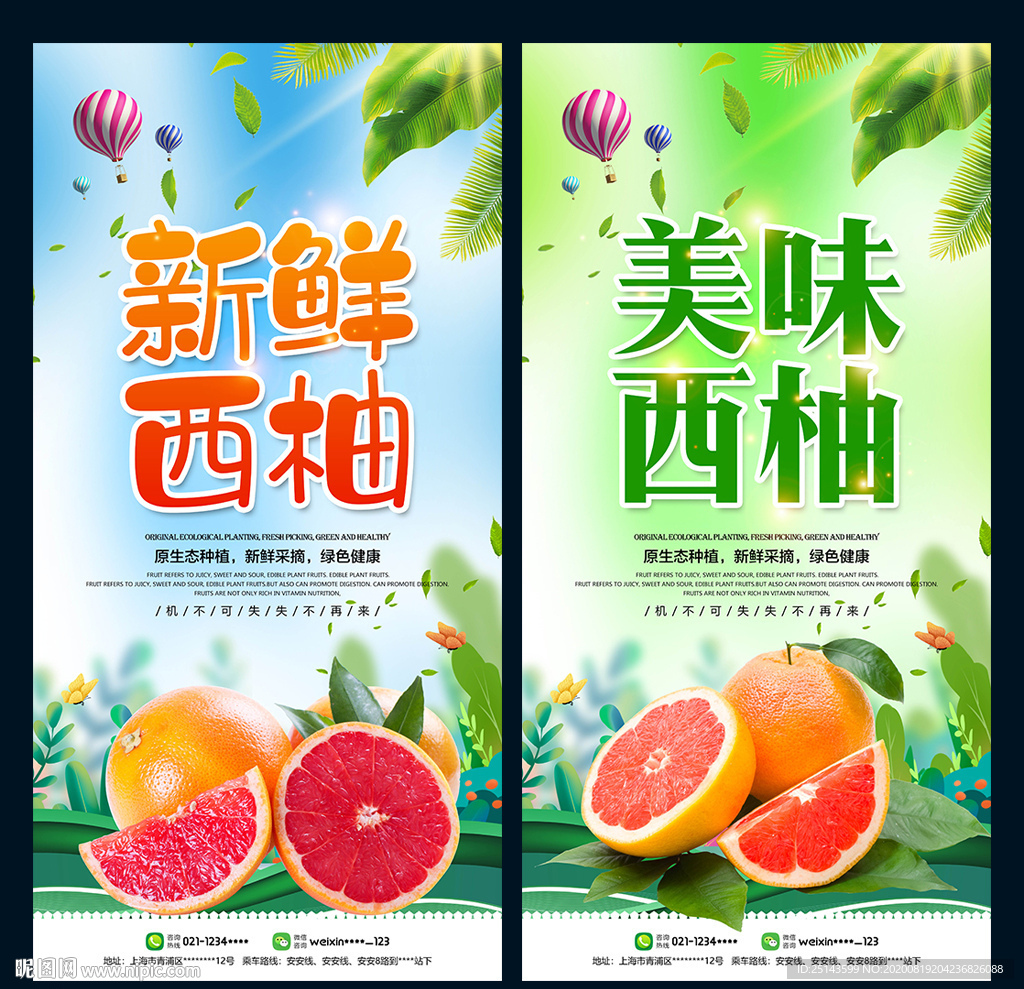 西柚