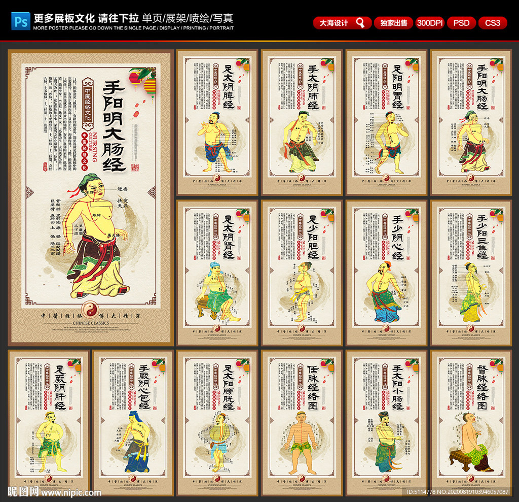 经络图