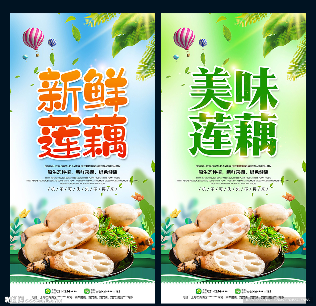 莲藕