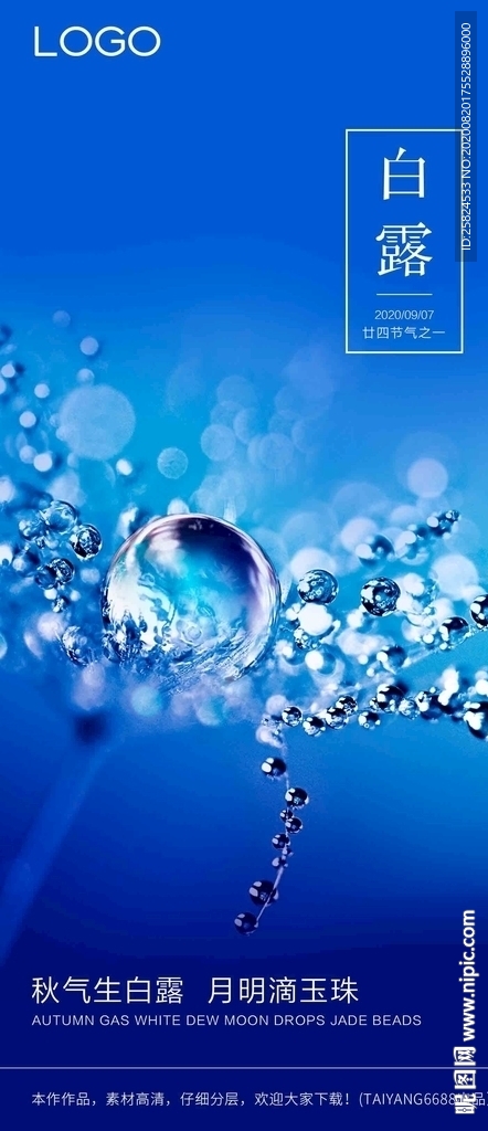 白露节气简洁大气海报