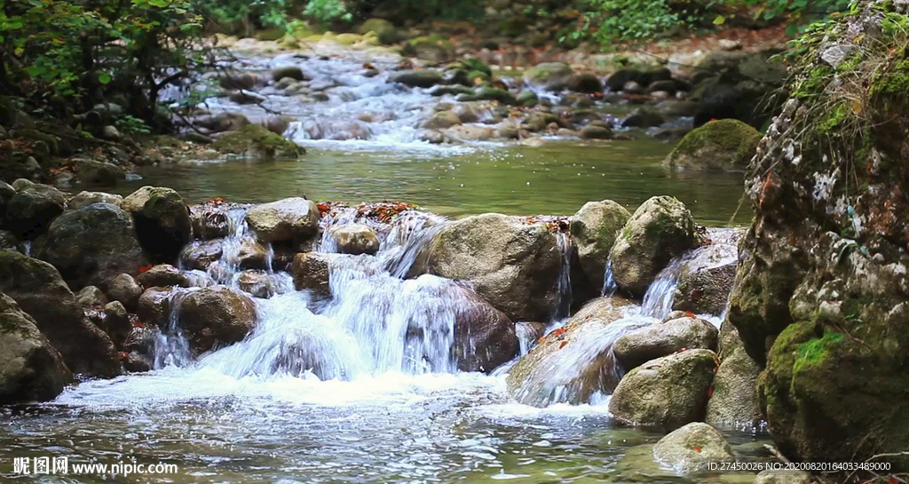 森林小河